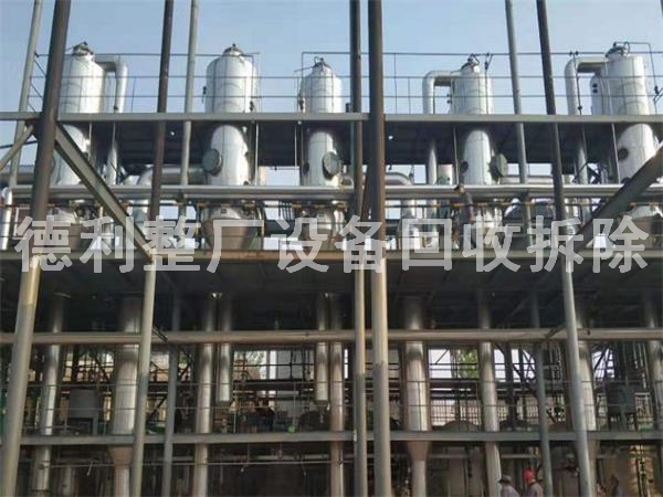 ���S�O��������U�f�O����������S�O��������